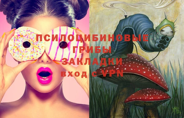 дмт Балахна