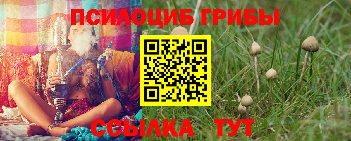 Галлюциногенные грибы GOLDEN TEACHER  Вход с VPN  наркота  Нерюнгри 
